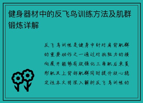 健身器材中的反飞鸟训练方法及肌群锻炼详解